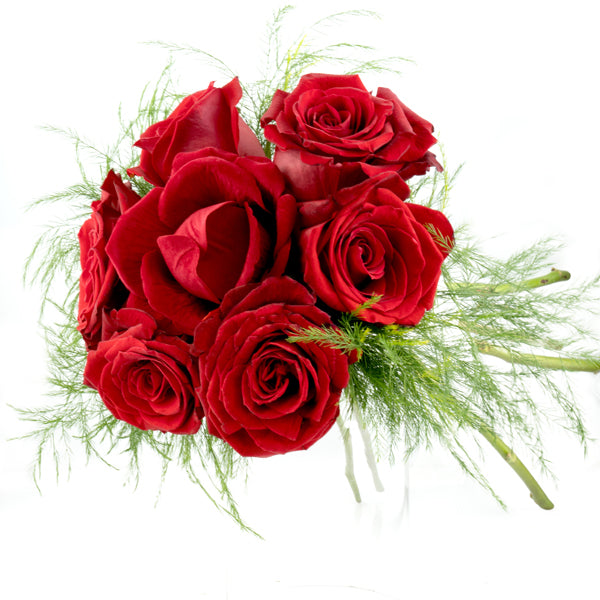 The Noble Rose Red Ring Box