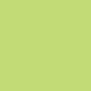 Solid Coloured Tissue Paper