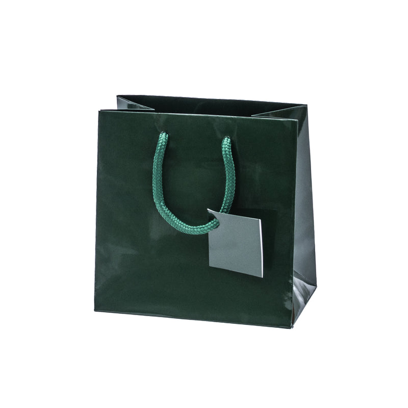 Euro Tote Glossy Paper Bags