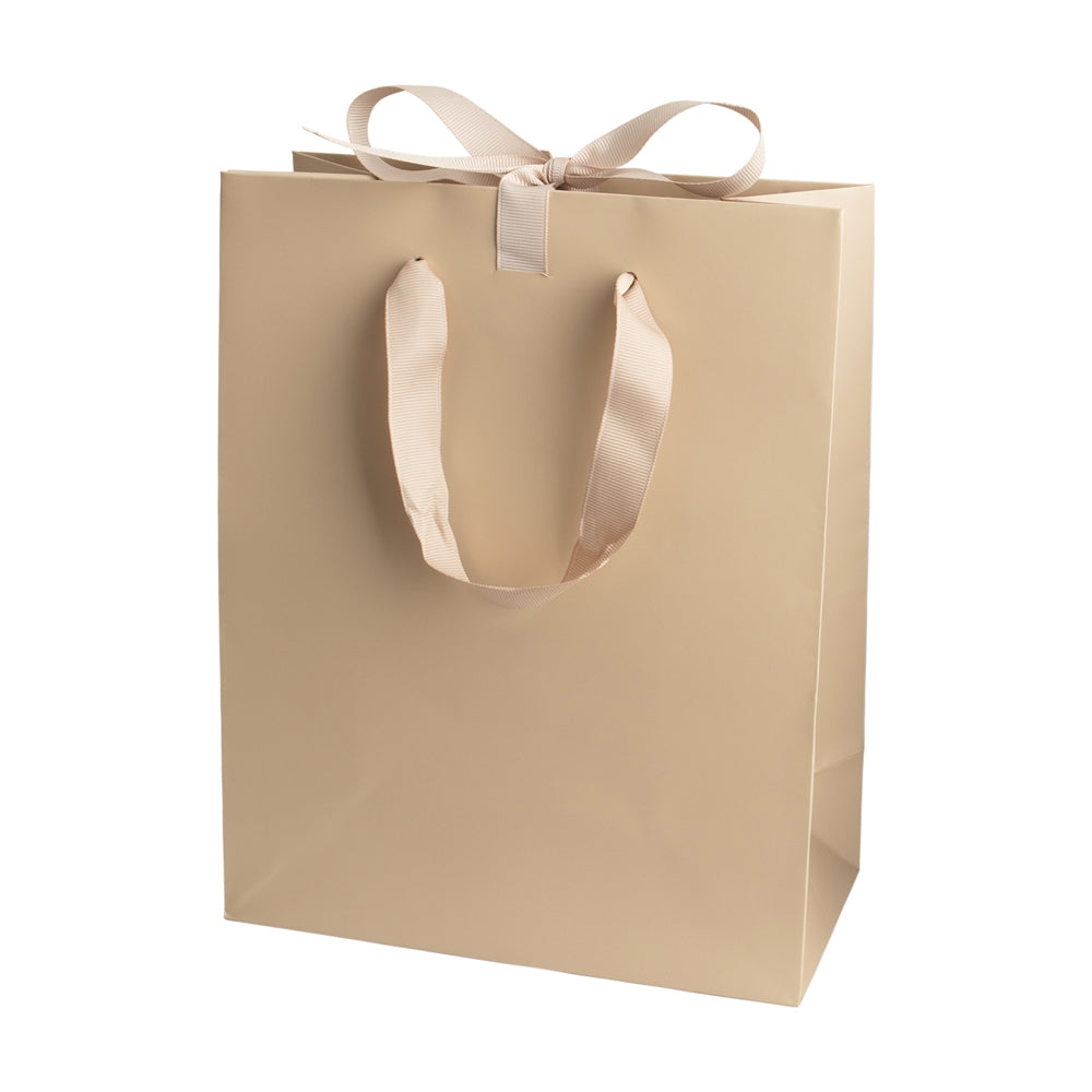 Luxury Bow Bags