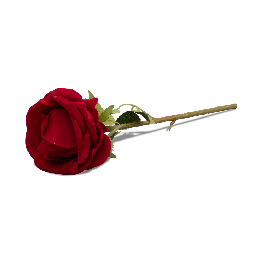 The Noble Rose Red Ring Box with LED Light