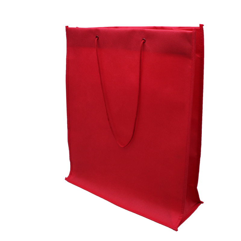 Nonwoven Bag with Rope Handles