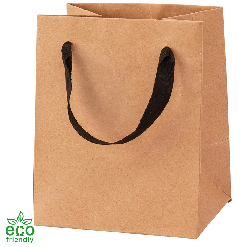 Eco-Friendly Manhattan Collection Twill Handle Paper Bag