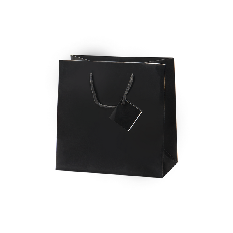 Euro Tote Glossy Paper Bags