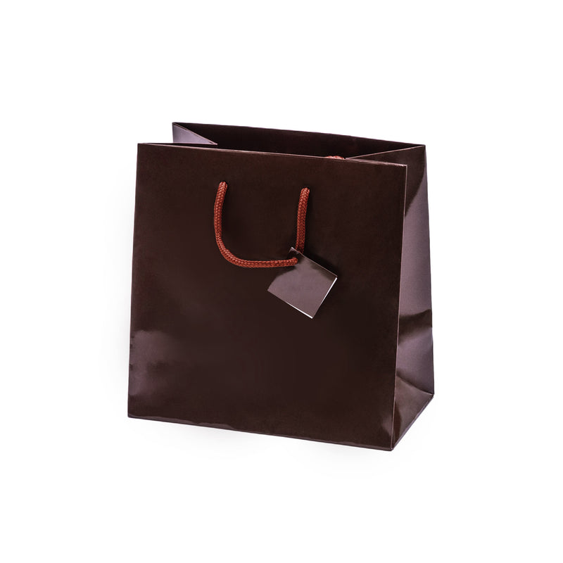 Euro Tote Glossy Paper Bags