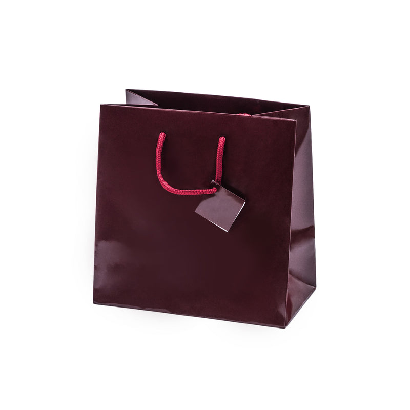 Euro Tote Glossy Paper Bags