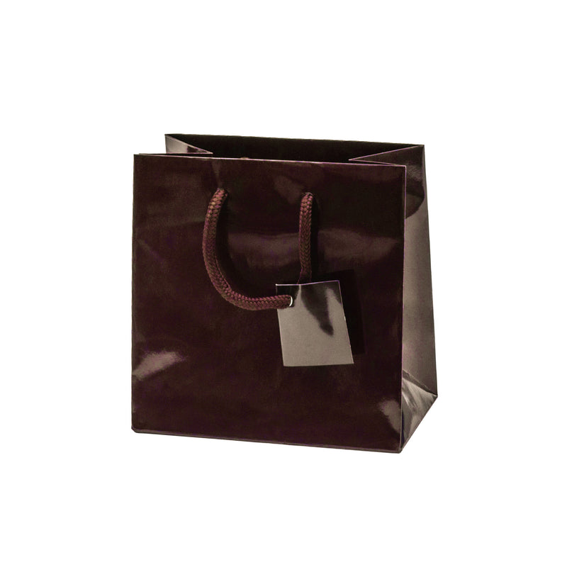 Euro Tote Glossy Paper Bags