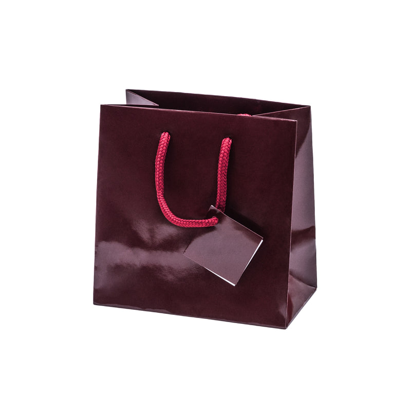 Euro Tote Glossy Paper Bags