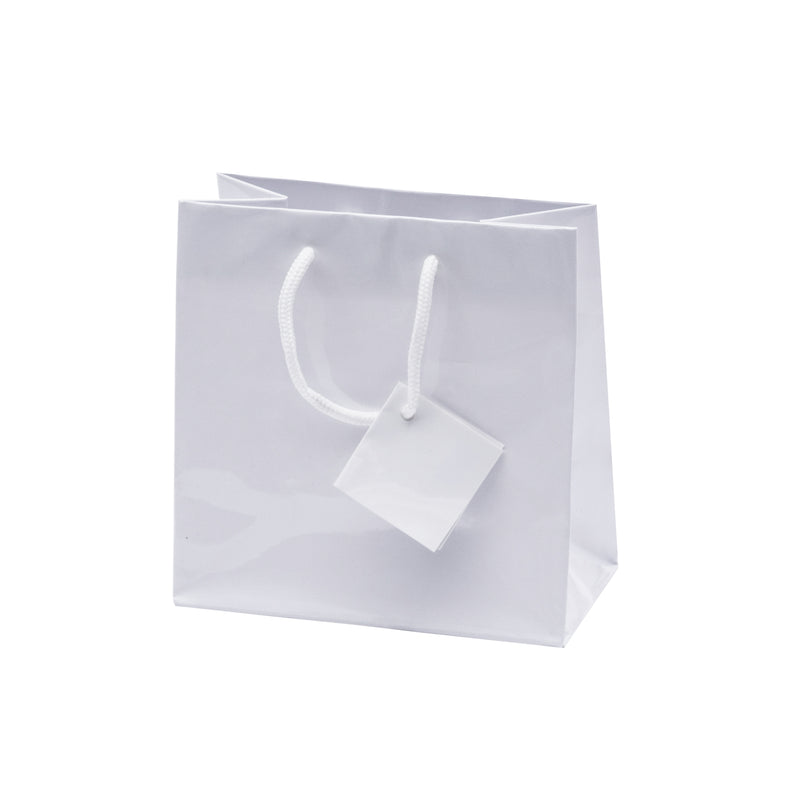 Euro Tote Glossy Paper Bags