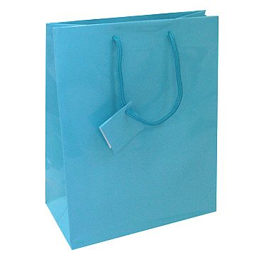 Euro Tote Glossy Paper Bags
