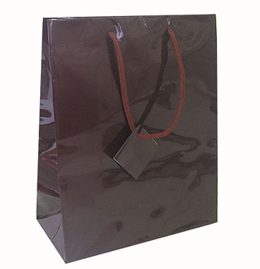 Euro Tote Glossy Paper Bags