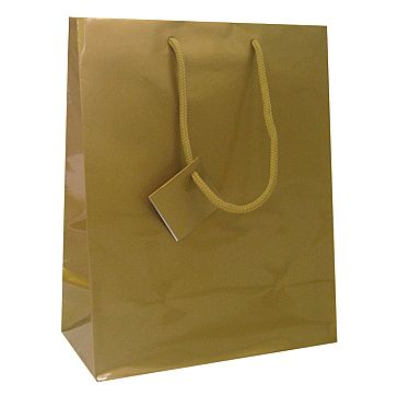 Euro Tote Glossy Paper Bags