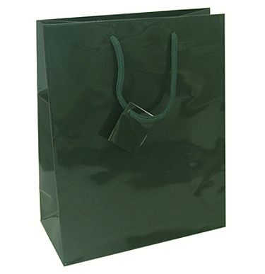 Euro Tote Glossy Paper Bags