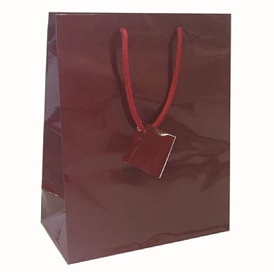 Euro Tote Glossy Paper Bags