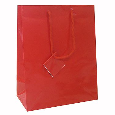 Euro Tote Glossy Paper Bags