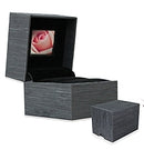 Single Ring Box with Screen for Images